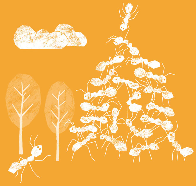 Illustrerad bild av myror
